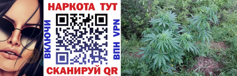 Купить наркоту Боровичи COCAIN  A-PVP  гидра ССЫЛКА  МЕФ 